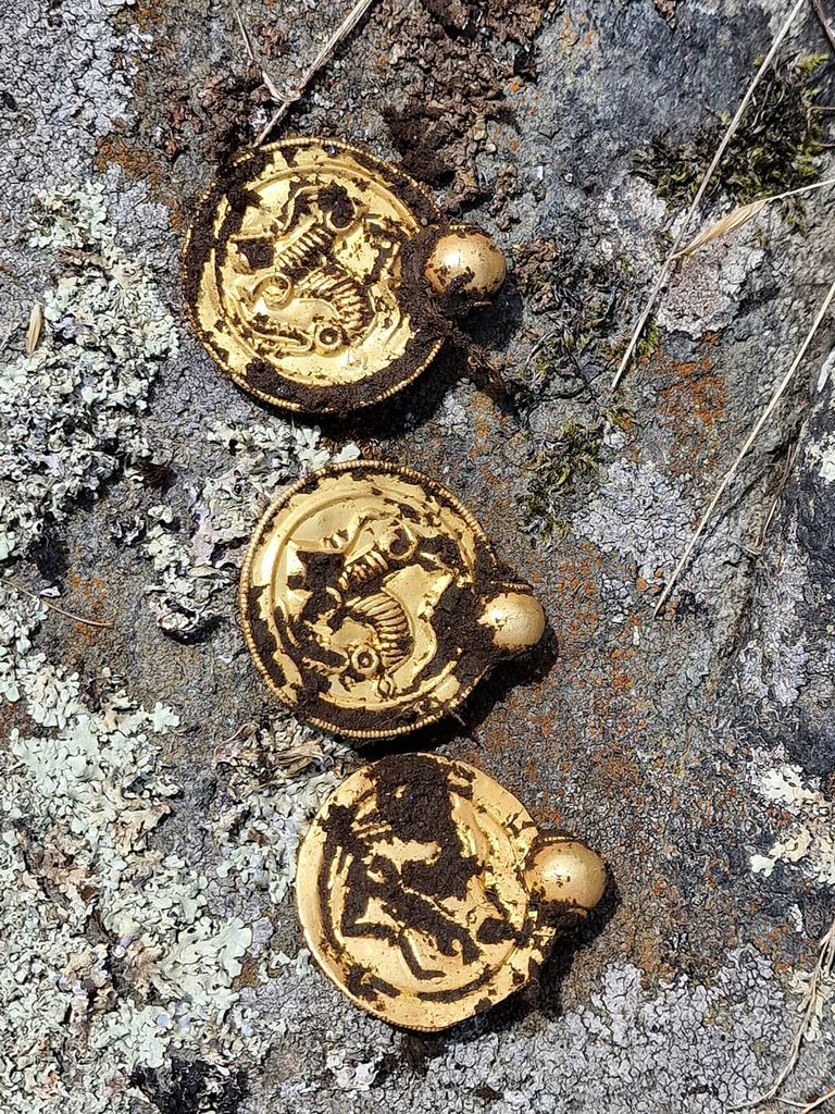 Norwegian Gold Treasure Found With A Metal Detector