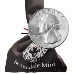 2023 Constitutional Silver With Bag 1