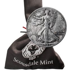 2023 Constitutional Silver With Bag 2