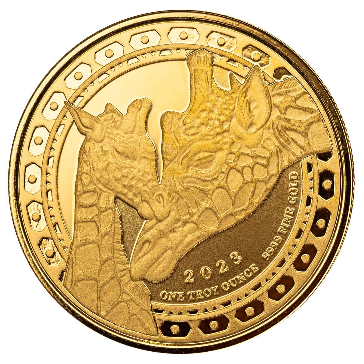 2023 Equatorial Guinea Giraffe 1 Oz Silver Coin