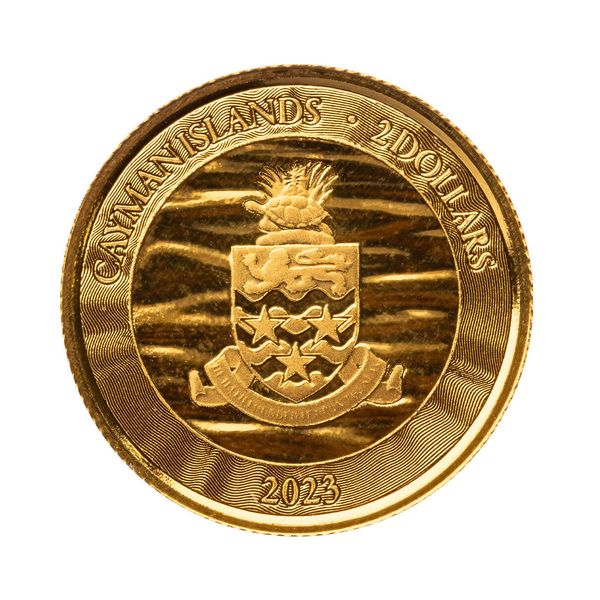 2023 Scottsdale Mint Cayman Islands Loggerhead Turtle Tenth Troy Ounce 9999 Fine Gold Coin 04