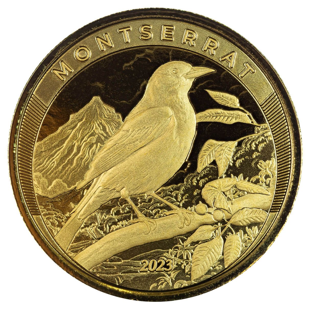 2023 Ec8 Montserrat Oriole Bird 1 Troy Ounce 9999 Fine Gold Proof Like Coin 07