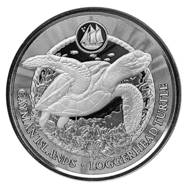 2024 Scottsdale Mint Cayman Islands Monetary Authority Loggerhead Turtle 1 Troy Ounce 9999 Fine Silver Proof Like Legal Tender Coin 02
