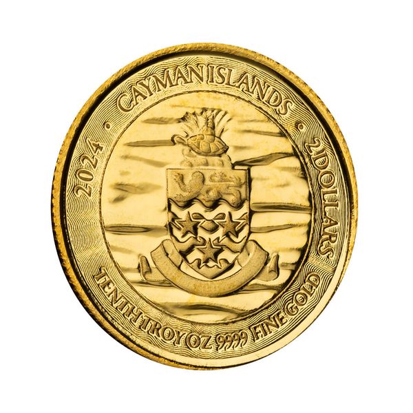 2024 Scottsdale Mint Cayman Islands Monetary Authority Loggerhead Turtle Tenth Troy Ounce 9999 Fine Gold Proof Like Legal Tender Coin 01