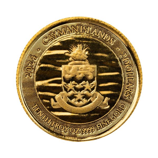 2024 Scottsdale Mint Cayman Islands Monetary Authority Loggerhead Turtle Tenth Troy Ounce 9999 Fine Gold Proof Like Legal Tender Coin 02