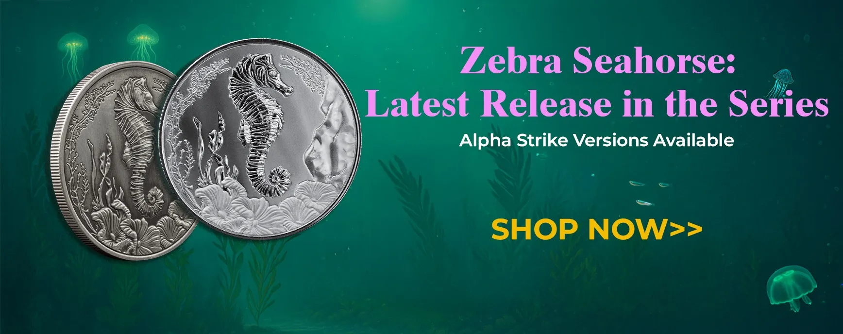 2025 Seahorse Desktop