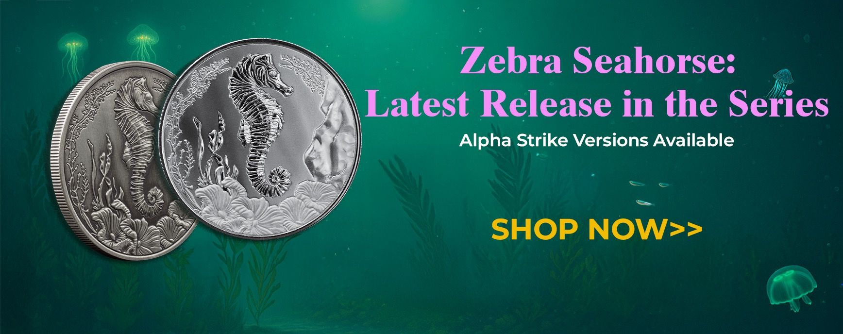 2025 Seahorse Desktop